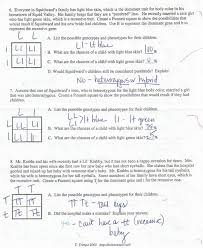 (a) if spongegerdy's father is a 5. Spongebob Genetics Answer Key Sponge Bob Key Bikini Bottom Genetics Answer Key 1 Ho He Try Other Combinations Of Mouse Parents