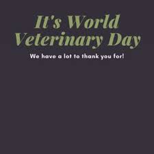 We did not find results for: The Pet Stop Home Facebook