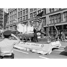 Image result for Copper Dark 1972 Montgomery Ward