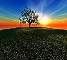 Pink and brown trees digital wallpaper, artwork, fantasy art. Nice Nature Hd Wallpaper Peakpx