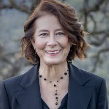 Bay Area Horse Stall & Pasture Boarding