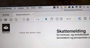 Senior kommunikasjonsrådgiver i skatteetaten, helen rist, forteller til dinside at skatteoppgjør som er klare. Ny Skattemelding Sendes Ut Pa Ulike Dager E24
