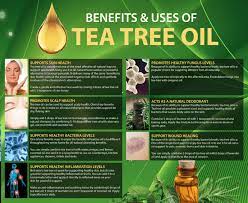 12 Popular Pure Tea Tree Oil Uses And Benefits Tea Tree Oil Uses Tea Tree Oil Benefits Tree Oil