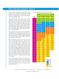 dog age in human years chart edit fill sign online