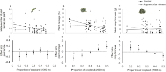 Unfortunately, along with the great things that the state holds, homeowners should also be aware of the pests that may cause issues while living in this area. Effectiveness Of Augmentative Biological Control Depends On Landscape Context Scientific Reports