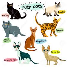 With leo delyon, allen jenkins, arnold stang, maurice gosfield. Set Of Cartoon Cats Characters Royalty Free Cliparts Vectors And Stock Illustration Image 103552291