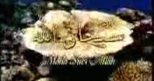 Zikir Subhanallah