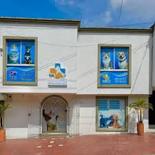 Asvet Clínica veterinaria