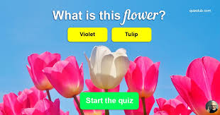 Many were content with the life they lived and items they had, while others were attempting to construct boats to. Nobody Can Name All These Common Flowers Trivia Quiz Quizzclub