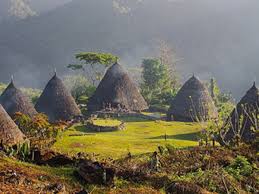 We did not find results for: Desa Adat Wae Rebo Perkampungan Adat Lestari Di Pegunungan Flores Masterplandesa Com
