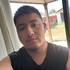 How to transport puppies and their mother from Louisiana to Florida?