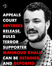 Avi Green (@avigreen1)