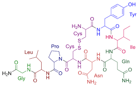 Oxytocin Chemische Formel Chemie Chemisch
