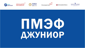 Сегодня в петербурге стартует международный экономический форум (пмэф). Prezentaciya Koncepcii Programmy Pmef Dzhunior