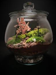 Couple Terrarium Anniversary Gift Moss Terrarium Couple In The Park Love Terrarium Valentine S Day Terrarium Indoor Terrarium Terrarium De Mousse Arbre Artificiel Terrarium Orchidees