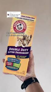 10 Best Cat Litters | The Strategist
