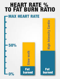 exposed fasted cardio is a waste of time and effort it