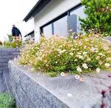 Pflanzen kaufen · außenbereiche pflegen · gärten planen & realisieren. Galabau Menke Gartenbau Landschaftsbau Bochum Witten Herne