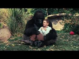 Pagesmediabooks and magazinesbookmy old dogvideosmy old dog movie trailer. Old Dogs Hd Trailer Youtube