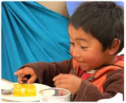 Fundación Ibero Meneses