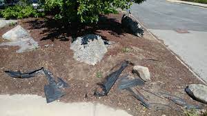 Landscape Fabric A Cautionary Tale The Garden Professors
