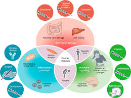 Image result for Cachexia in Cancer