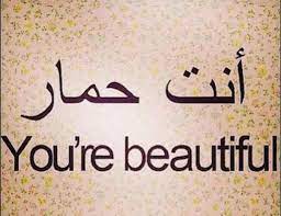 An ancient quranic language that originated in the arabian peninsula, arabic has indelibly shaped civilisations across the middle east and africa. Lindsay Lohan Thinks She S Writing You Re Beautiful In Arabic But Real Translation Is You Re A Donkey Mirror Online