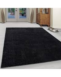 Achten sie darauf, dass der teppich mindestens 120 zentimeter kürzer ist als der raum, sodass sie die wohnungstür ohne probleme öffnen können. Wohnzimmer Teppich Kurzflor Modern Einfarbig Uni Gunstig Versch Farben Farbe Anthrazit Grosse 60x100 Cm