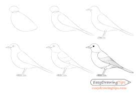 Bird Drawing For Kids Easy Step By Step Image Result For How To Draw A Bird Bird Drawings Bird Line Drawing Step By Step Drawing
