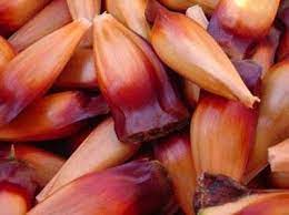 Pinhao Que Saudades De Comer Pinhao Brazilian Food Pine Nuts Fruits And Veggies