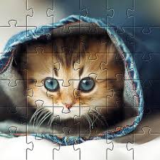Free jigsaw puzzle apps for adults. Updated Cute Cats App Free Jigsaw Puzzles Android App Download 2021