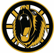 It is a very clean transparent background image and its resolution is 2400x2400 , please mark the image source when quoting it. Boston Bruins New Logos