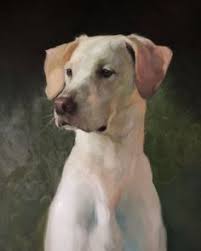 Black ceramic kitchen sinks ukc forums beagles for adoption. Azucena Nava Moreno Anavamoreno Profile Pinterest