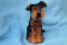 Image result for velšteriér