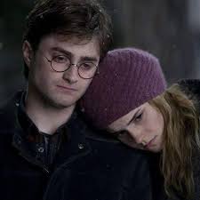 How it is that animals understand things I do not know, but it is certain  that they do understand. Perhaps there is a language which is not made of  words and everything