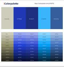 Wedding guests books personalized royal blue for wedding weddings guest book royal blue and silver wedding guest wedding book blue weddings vizzara 4.5 out of 5 stars (555) $ 19.58. 40 Latest Color Schemes With Silver And Royal Blue Color Tone Combinations 2021 Icolorpalette