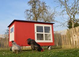 Dsc 0528 In 2020 Mobiler Huhnerstall Huhnerstall Fur 10 Huhner Huhnerstall