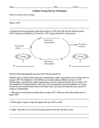 Worksheets are student exploration cell energy cycle, lesson plan cell exploration, cell structure exploration activities, biology teacher s. Cellular Energy Review Worksheet Answer Key Fill Online Printable Fillable Blank Pdffiller
