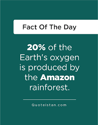 20 Of The Earth S Oxygen Is Produced By The Amazon Rain Forest Forest Quotes Amazon Rainforest Fact Of The Day