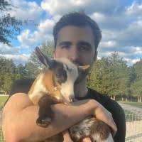 100+ "Dubick" profiles