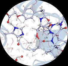 Understanding and Optimizing Extremozymes for Industrial Processes