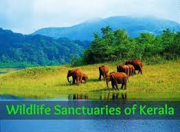 Kerala Psc Adda Trick To Remember National Parks And Wildlife Sanctuaries In Kerala Owing to its geographical location, this wildlife sanctuary receives heavy rainfall and has thick forest cover with a lot of variety in species of plants as well. wildlife sanctuaries in kerala