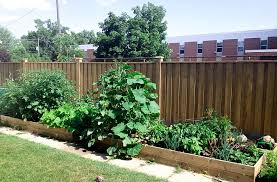 However, you should know the advantages and disadvantages involved before making your final decision. Simple Diy Raised Garden Beds With Care I Education And Inspiration I Toronto