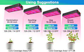 Buy your cannabis seeds online in our bulging seedshop. Amazon Com Phlizon 600w Led Plant Grow Light With Thermometer Humidity Monitor With Adjustable Rope Full Spectrum Double Switch Plant Light For Indoor Plants Veg And Flower 600w 10w Leds 60pcs Home Improvement