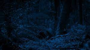 We did not find results for: Snowy Forest Landscape At Night Stock Footage Video 100 Royalty Free 22838131 Shutterstock