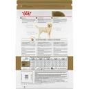 Labrador Retriever Puppy Dry Dog Food - Royal Canin