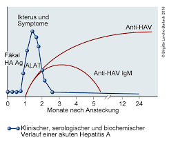 It is a type of viral hepatitis. Hepatitis A Deximed