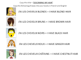 J'ai les yeux verts et les cheveux noirs, mi longs. Walt Recognise Words And Phrases To Describe Myself Ppt Video Online Download