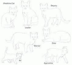 Search through 623,989 free printable colorings at getcolorings. Warrior Cats Clan Coloring Pages High Quality Coloring Pages Coloring Library