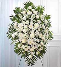 The sympathy plant collection has a variety of sympathy plants and flowers to choose from depending on the occasion and nature of the loss. Sympathy Flowers Sympathy Flower Delivery 1800flowers